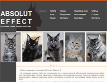 Tablet Screenshot of cooneko.com